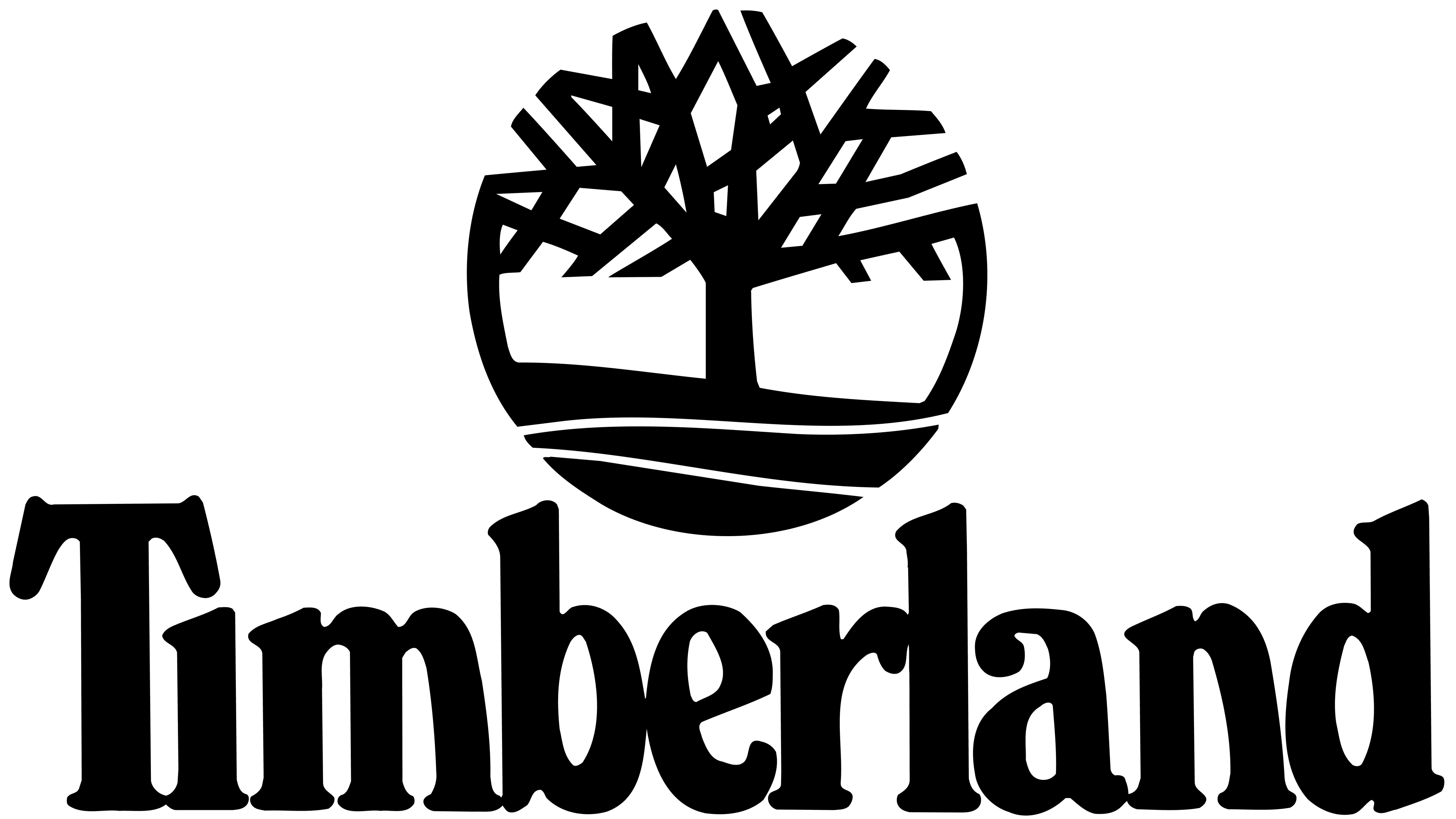 تيمبرلاند